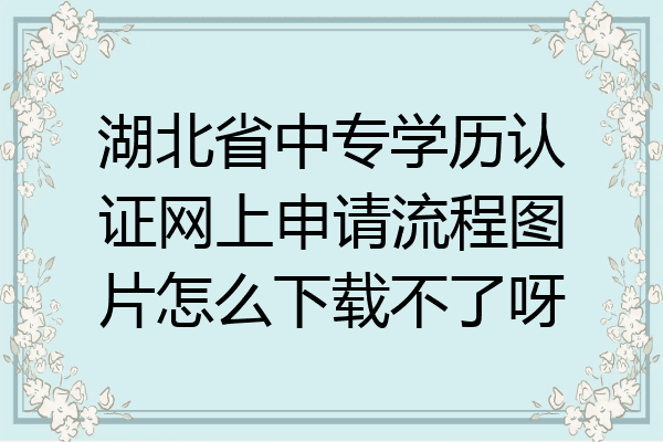 湖北省中专学历认证网上申请流程图片怎么下载不了呀