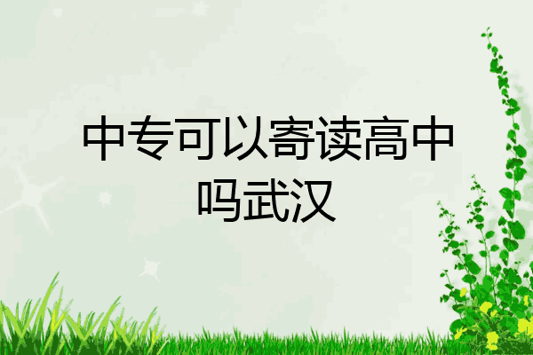中专可以寄读高中吗武汉