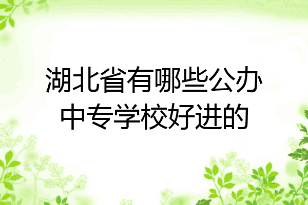 湖北省有哪些公办中专学校好进的