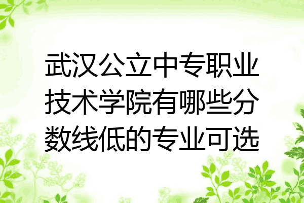 武汉公立中专职业技术学院有哪些分数线低的专业可选