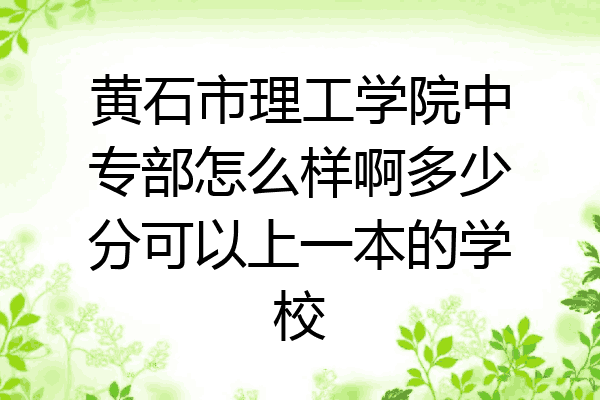 黄石市理工学院中专部怎么样啊多少分可以上一本的学校