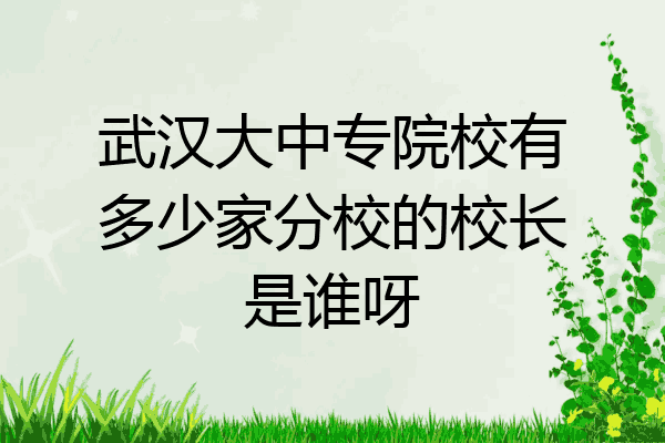 武汉大中专院校有多少家分校的校长是谁呀