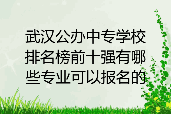 武汉公办中专学校排名榜前十强有哪些专业可以报名的