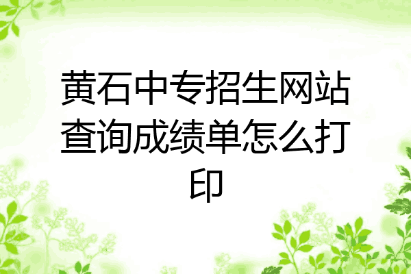 黄石中专招生网站查询成绩单怎么打印