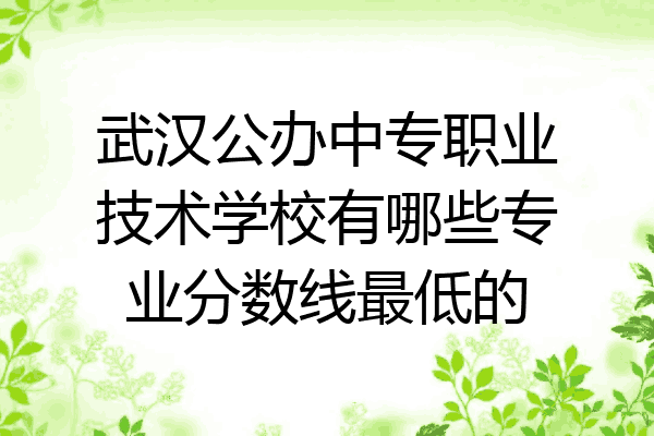 武汉公办中专职业技术学校有哪些专业分数线最低的