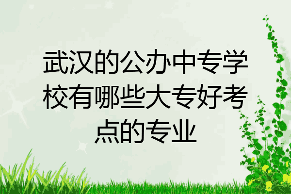 武汉的公办中专学校有哪些大专好考点的专业