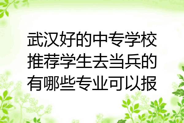 武汉好的中专学校推荐学生去当兵的有哪些专业可以报