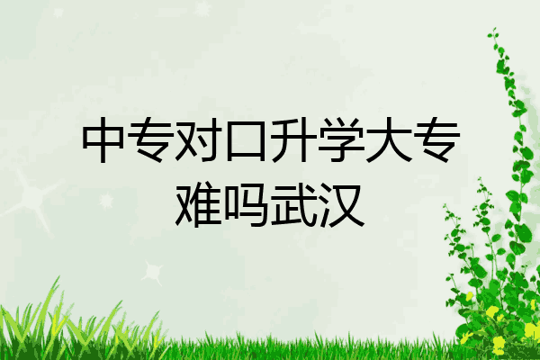 中专对口升学大专难吗武汉