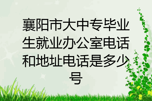 襄阳市大中专毕业生就业办公室电话和地址电话是多少号