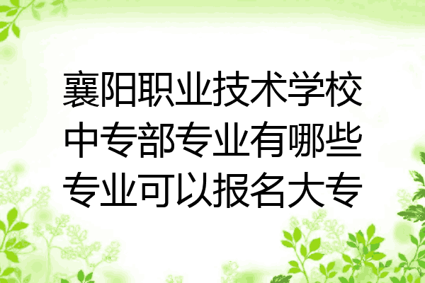 襄阳职业技术学校中专部专业有哪些专业可以报名大专