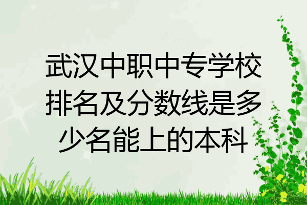 武汉中职中专学校排名及分数线是多少名能上的本科