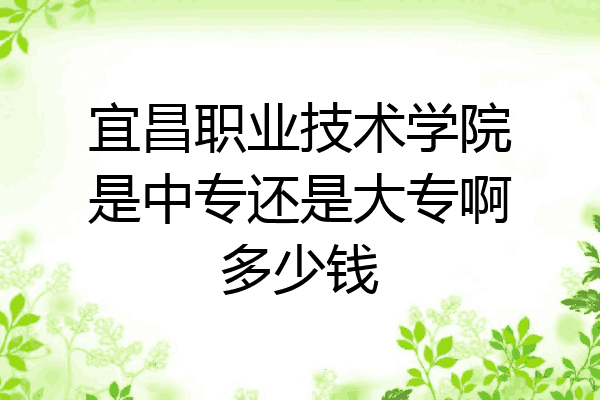 宜昌职业技术学院是中专还是大专啊多少钱