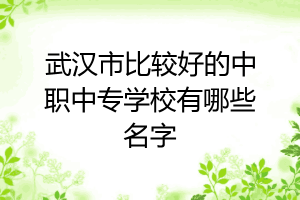 武汉市比较好的中职中专学校有哪些名字