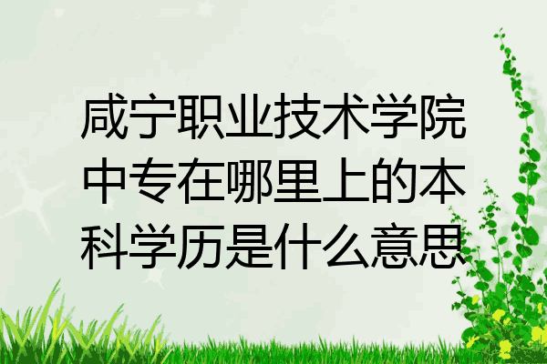 咸宁职业技术学院中专在哪里上的本科学历是什么意思