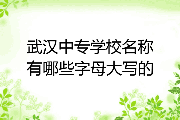 武汉中专学校名称有哪些字母大写的