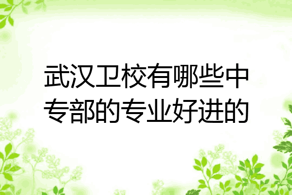 武汉卫校有哪些中专部的专业好进的