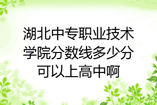 湖北中专职业技术学院分数线多少分可以上高中啊