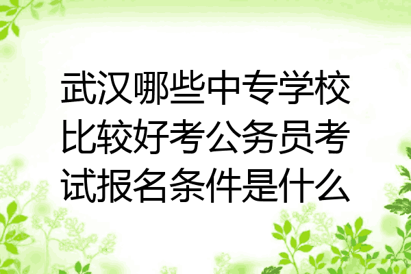 武汉哪些中专学校比较好考公务员考试报名条件是什么