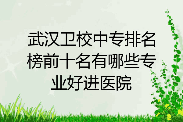 武汉卫校中专排名榜前十名有哪些专业好进医院