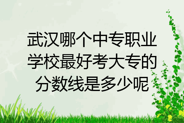 武汉哪个中专职业学校最好考大专的分数线是多少呢