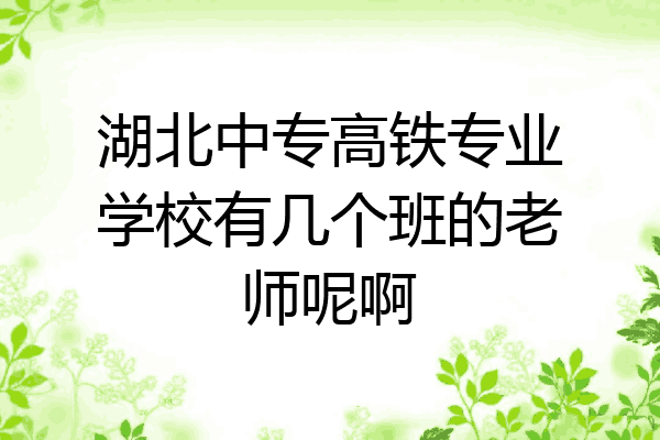 湖北中专高铁专业学校有几个班的老师呢啊