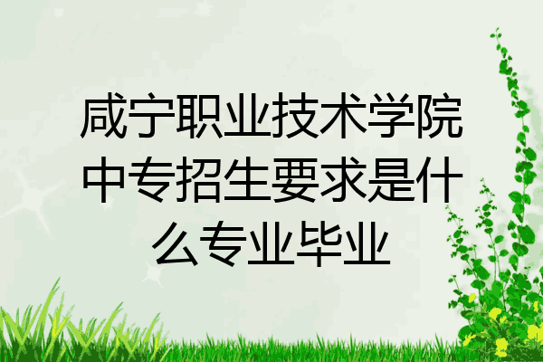 咸宁职业技术学院中专招生要求是什么专业毕业