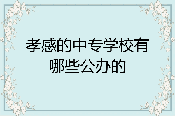 孝感的中专学校有哪些公办的