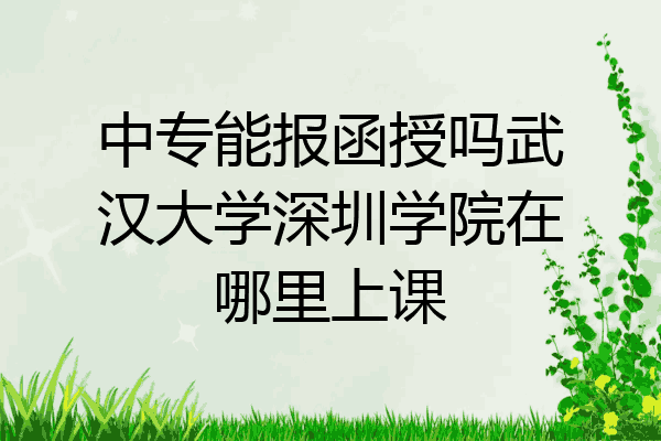 中专能报函授吗武汉大学深圳学院在哪里上课