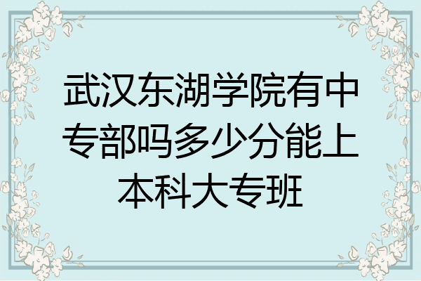 武汉东湖学院有中专部吗多少分能上本科大专班