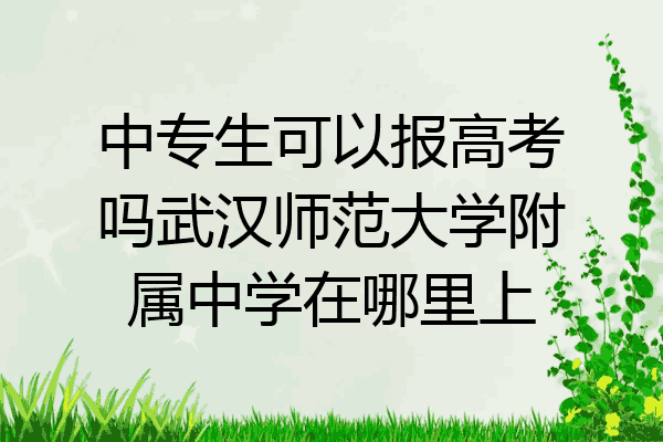 中专生可以报高考吗武汉师范大学附属中学在哪里上
