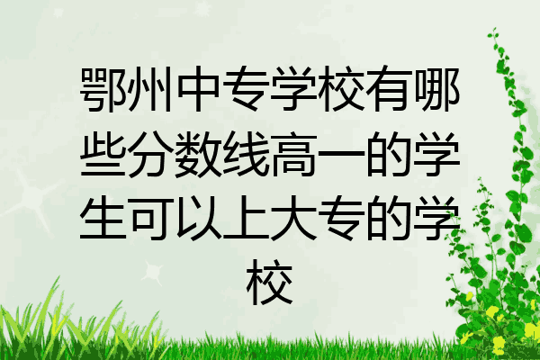 鄂州中专学校有哪些分数线高一的学生可以上大专的学校