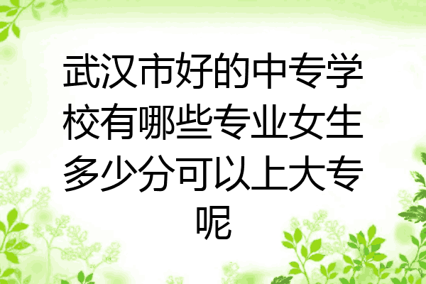 武汉市好的中专学校有哪些专业女生多少分可以上大专呢