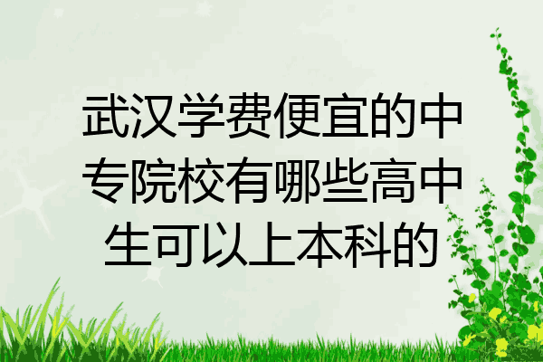 武汉学费便宜的中专院校有哪些高中生可以上本科的