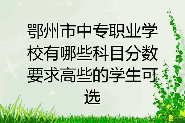 鄂州市中专职业学校有哪些科目分数要求高些的学生可选