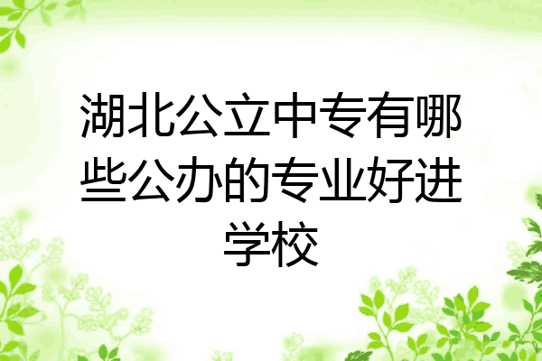 湖北公立中专有哪些公办的专业好进学校