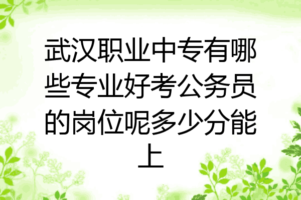 武汉职业中专有哪些专业好考公务员的岗位呢多少分能上
