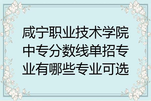 咸宁职业技术学院中专分数线单招专业有哪些专业可选