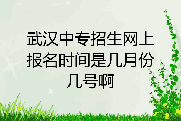 武汉中专招生网上报名时间是几月份几号啊