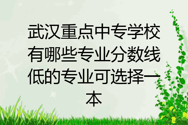 武汉重点中专学校有哪些专业分数线低的专业可选择一本
