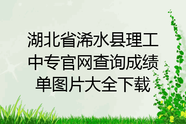 湖北省浠水县理工中专官网查询成绩单图片大全下载
