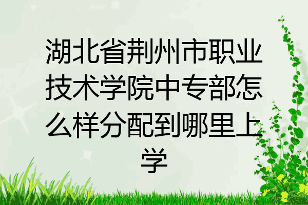 湖北省荆州市职业技术学院中专部怎么样分配到哪里上学