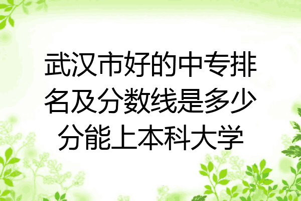 武汉市好的中专排名及分数线是多少分能上本科大学