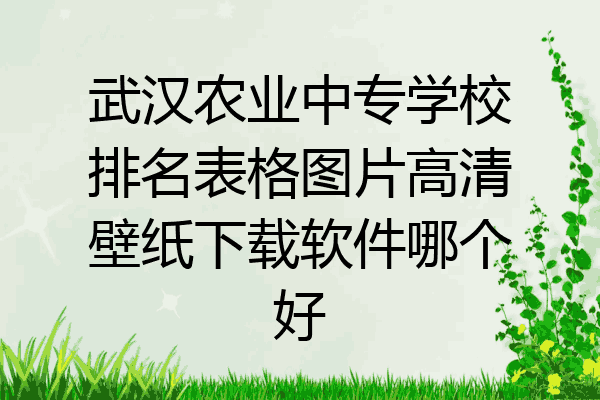武汉农业中专学校排名表格图片高清壁纸下载软件哪个好