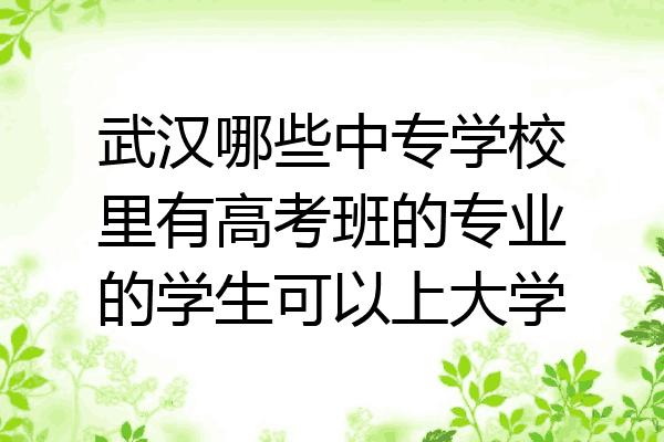 武汉哪些中专学校里有高考班的专业的学生可以上大学
