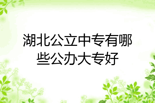 湖北公立中专有哪些公办大专好