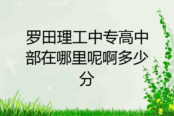 罗田理工中专高中部在哪里呢啊多少分