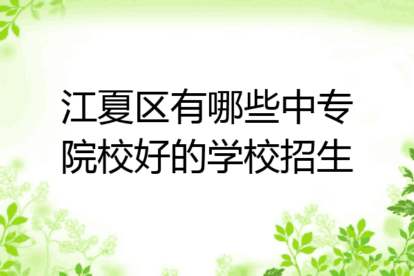 江夏区有哪些中专院校好的学校招生