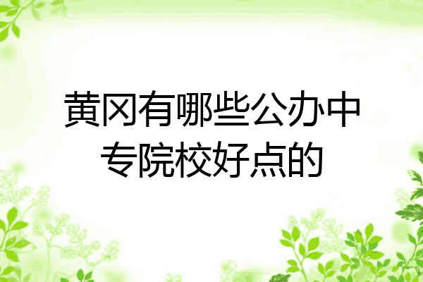 黄冈有哪些公办中专院校好点的
