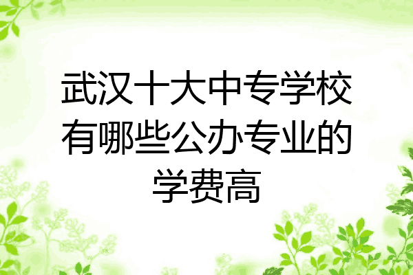 武汉十大中专学校有哪些公办专业的学费高
