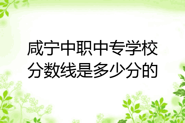 咸宁中职中专学校分数线是多少分的